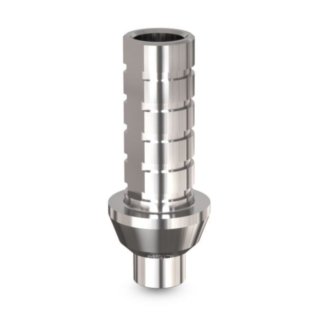 Abutment temporal MSDI - Image 2