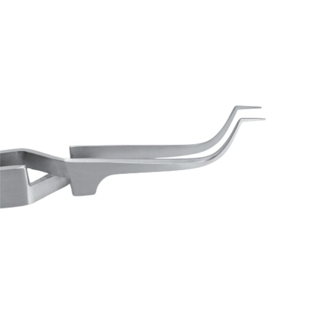 Pinza porta tubo Omax